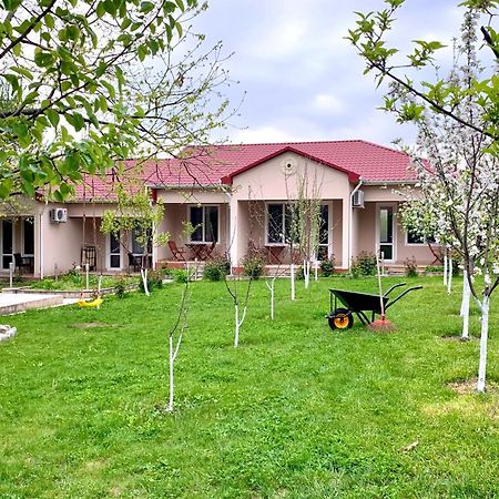 Cozy Family Cottages Vendam Buitenkant foto