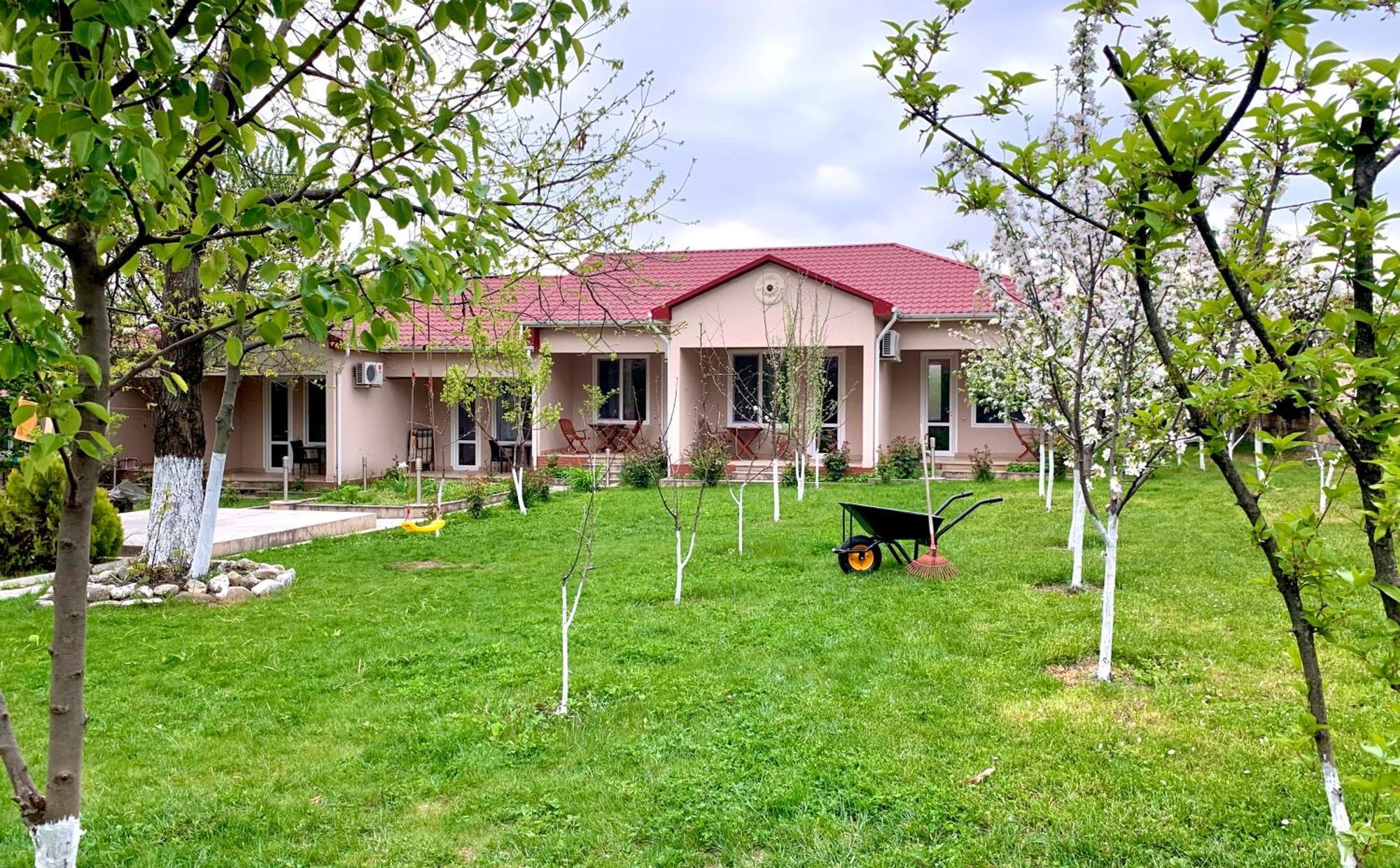 Cozy Family Cottages Vendam Buitenkant foto